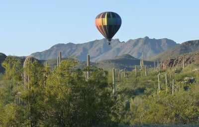 hot air balloon over the cactus