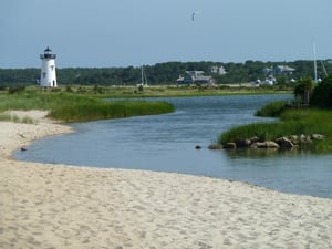 What to Do in Martha's Vineyard