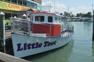 Clearwater dolphin tour