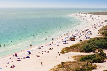 many people on a beach in sarasota