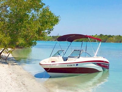 red and white boat in florida