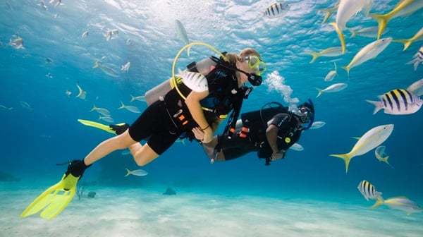 Scuba Diving Clearwater Florida