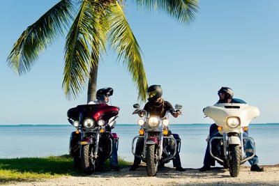 three people on motorcycles under a plam tree