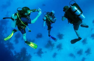 three people scuba diving