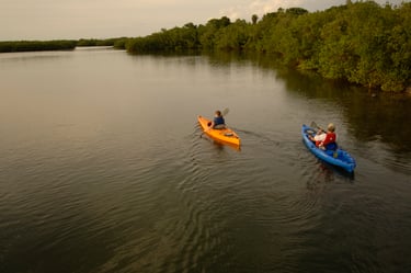 two people kayaling in Myakka River State Park