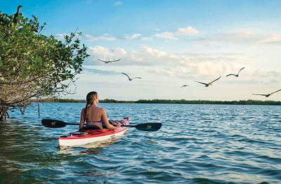 women on red kayak looking at the birds in the ocean