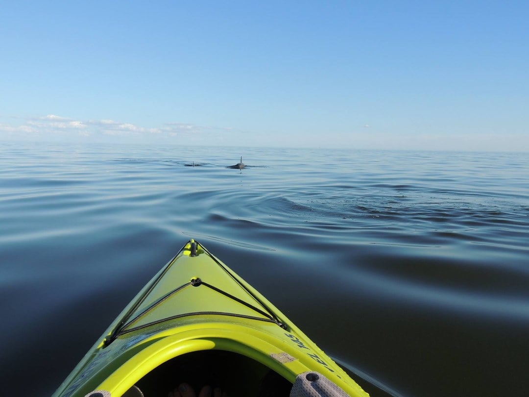 Yellow kayak on west palm beach