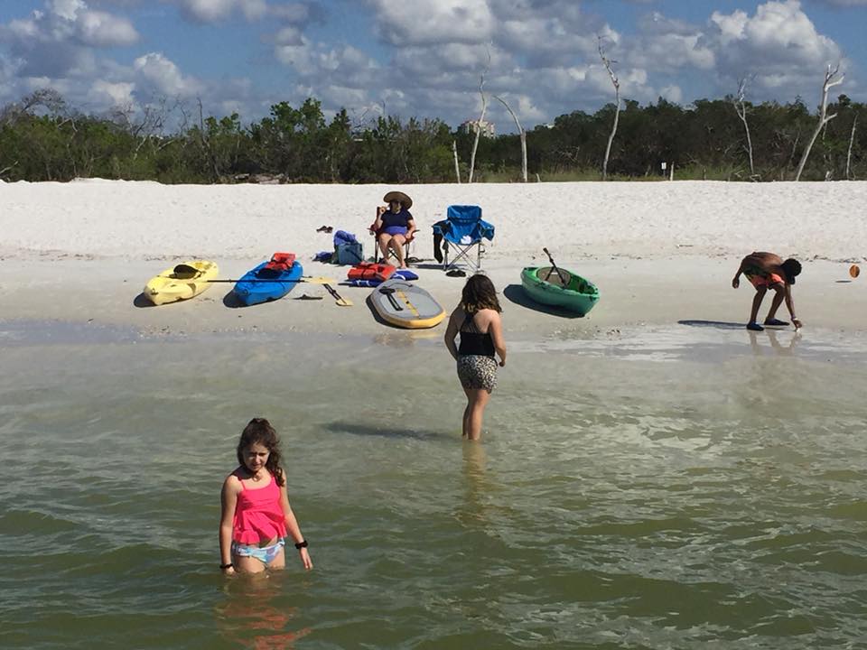 Three people and a dog playing on paddleboards