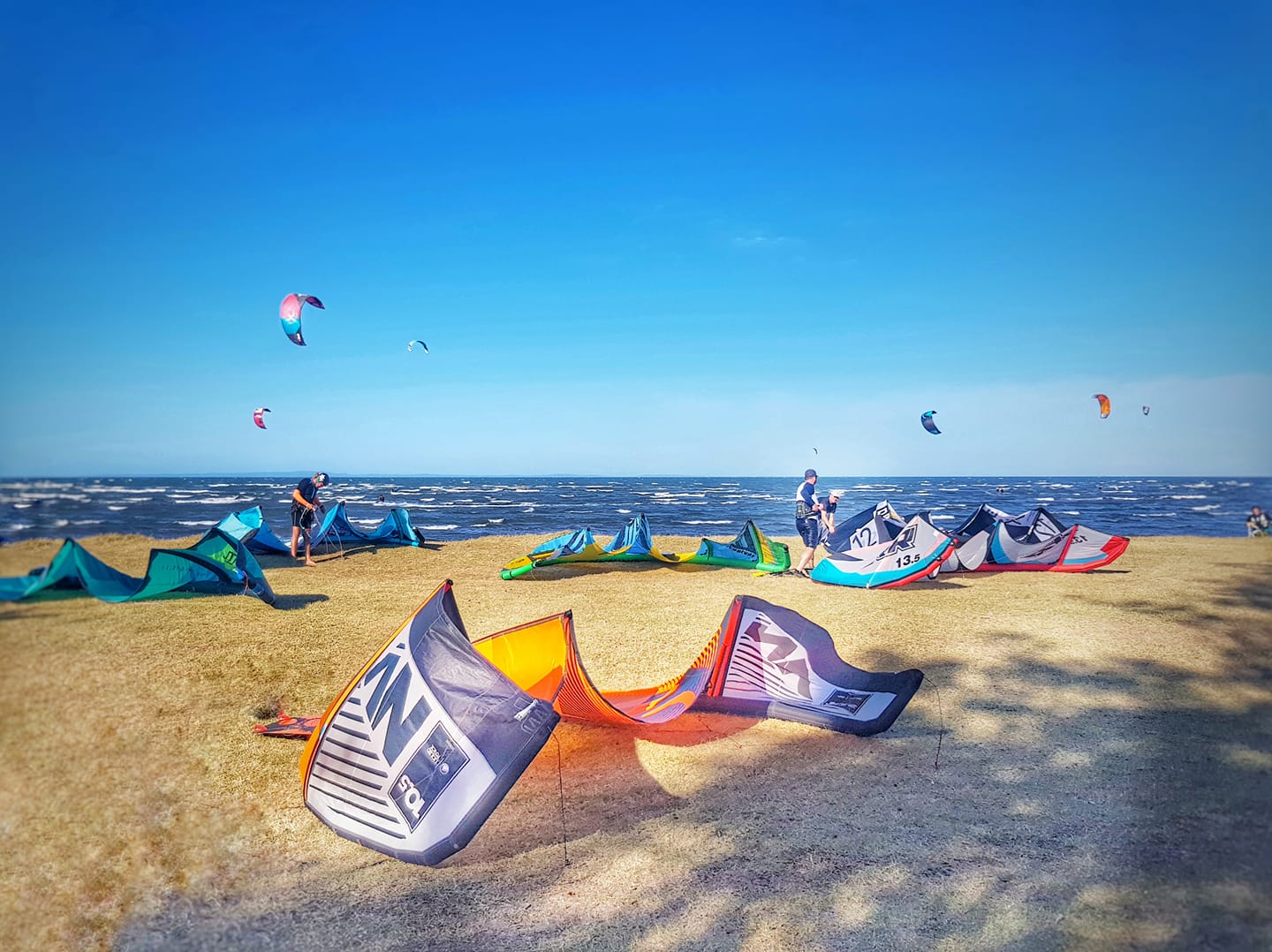 Kite surfing kites on the beach