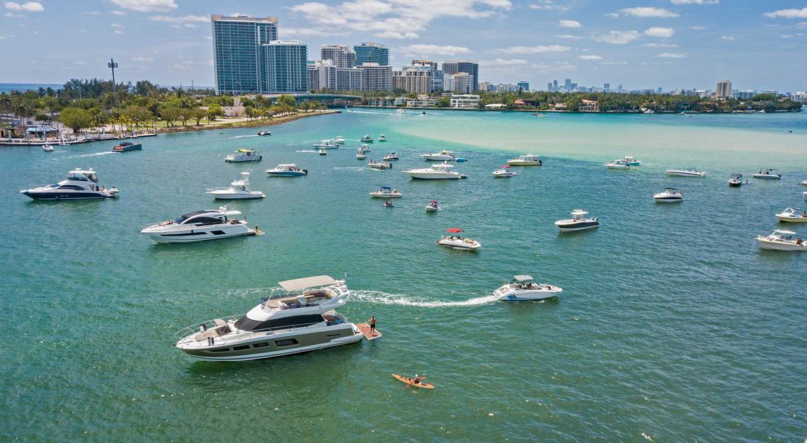 Lots of boats in a bay in Florida