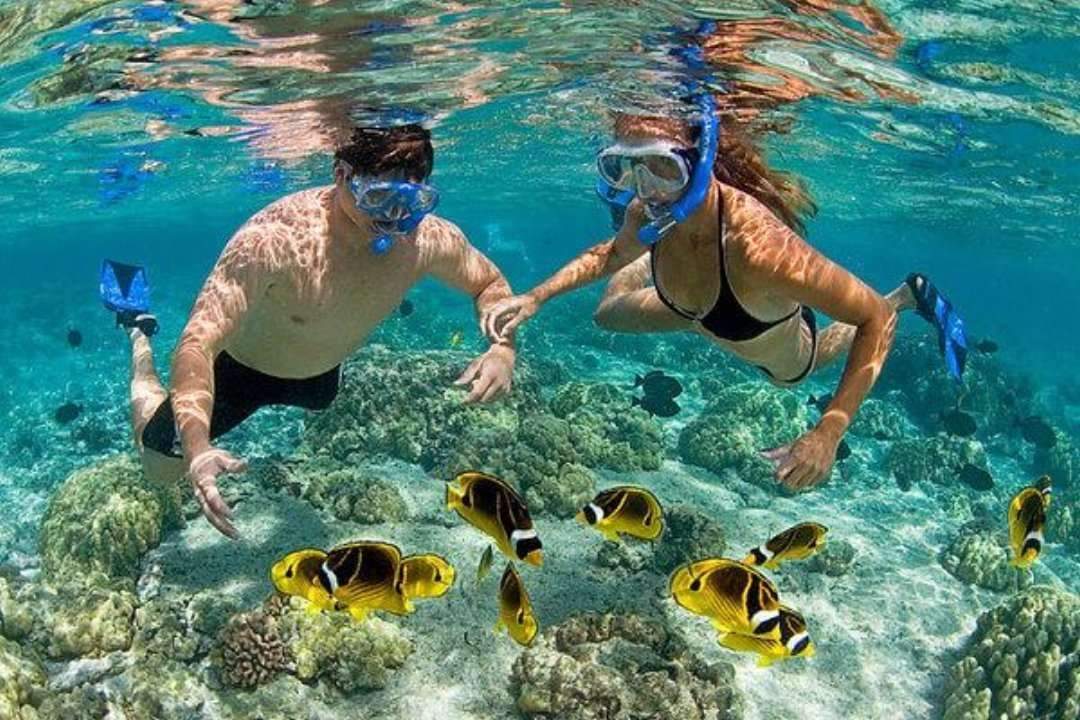 Man and women snorkeling in west palm beach with yellow fish