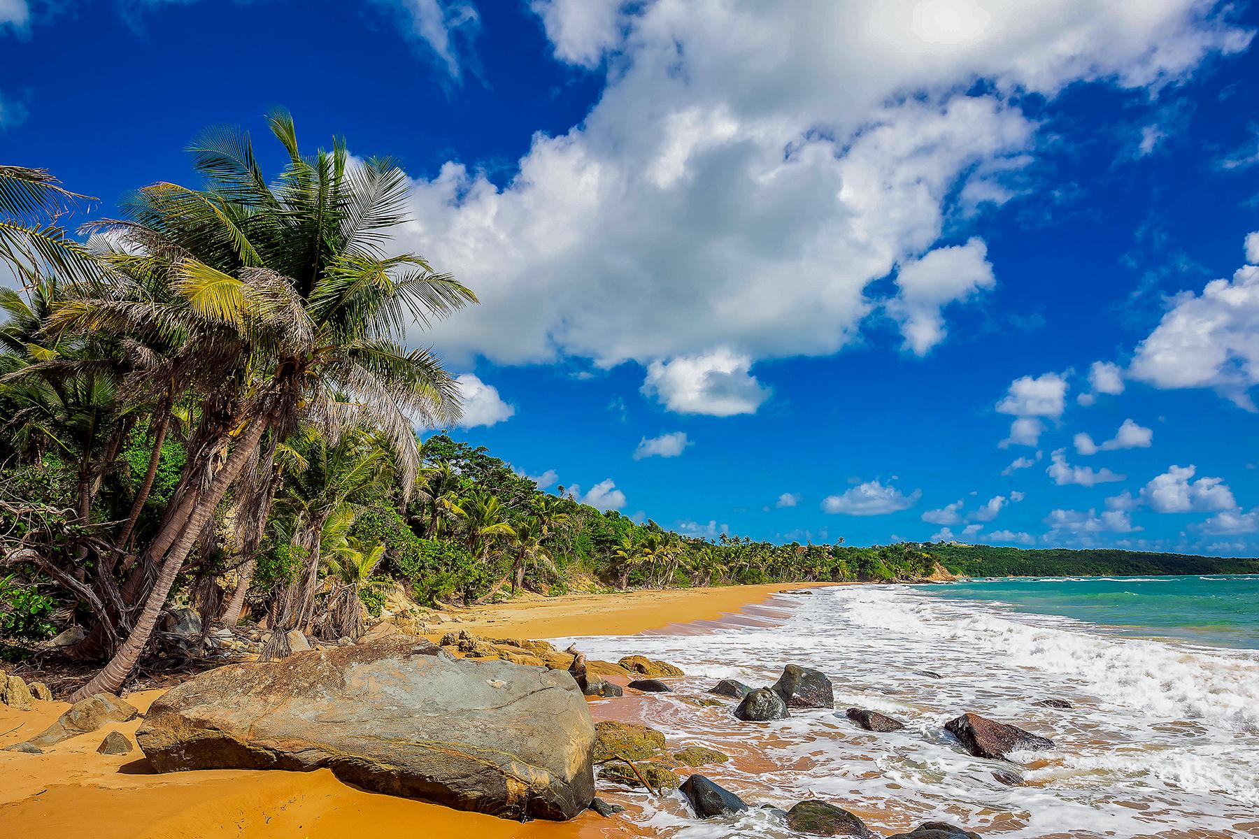 Puerto Rico beach