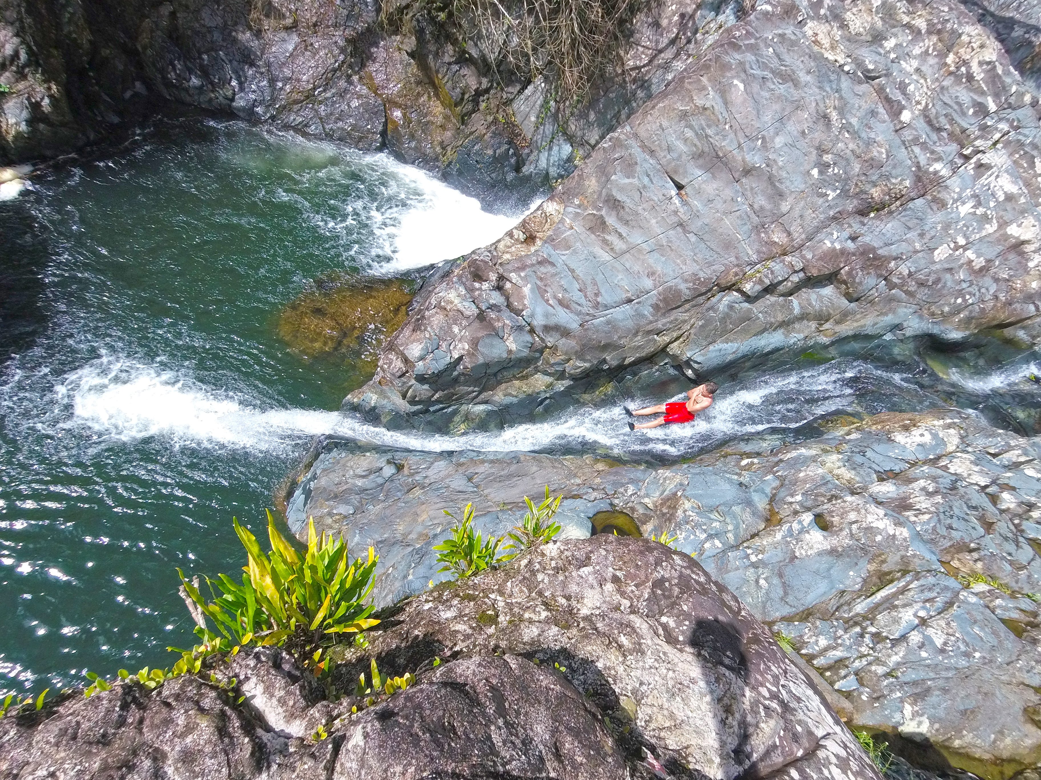 Puerto Rico Rain Forest