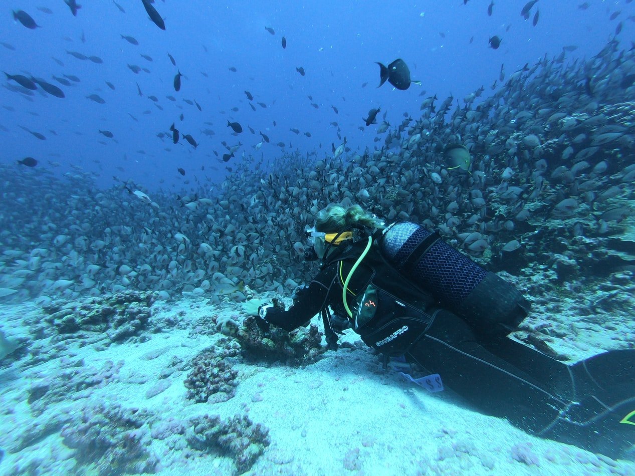 Person scuba diving in clearwater beach