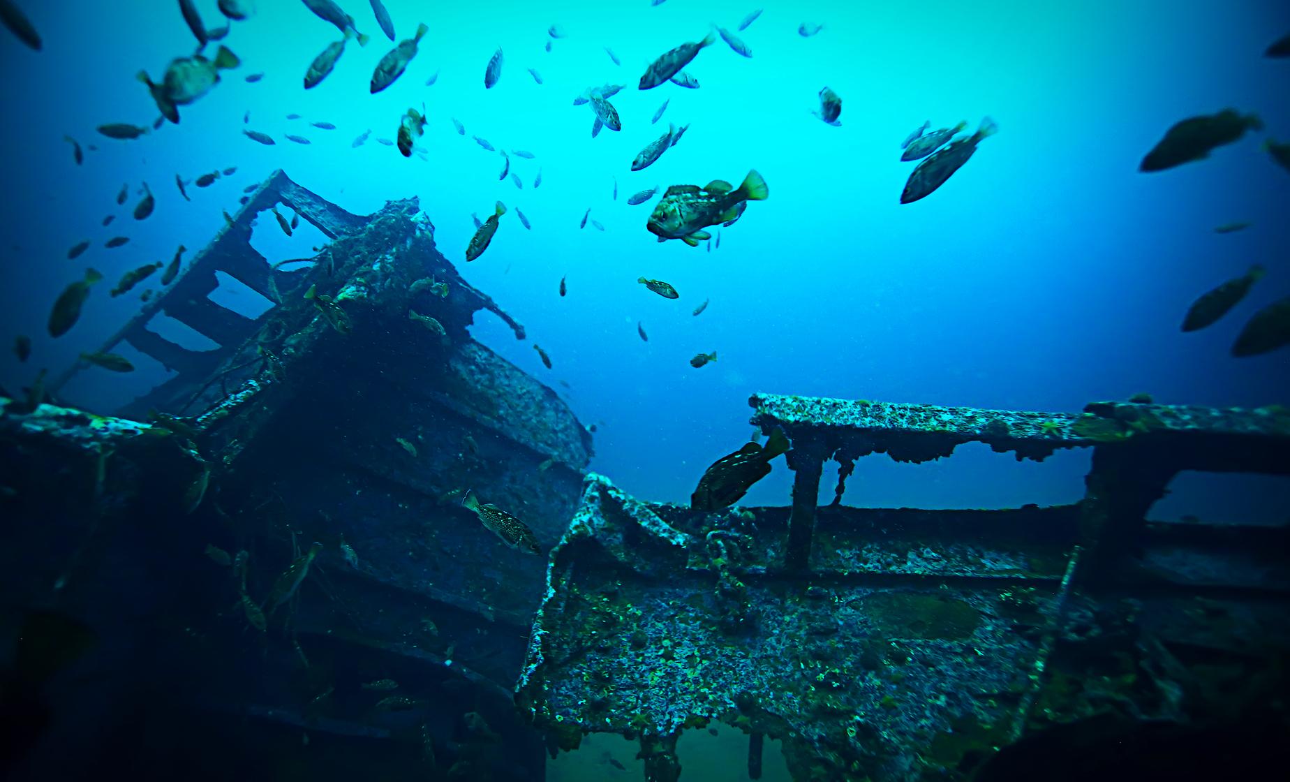 Ship wreck in Aruba