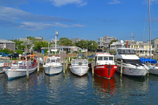 Martha’s Vineyard Sunset Cruise