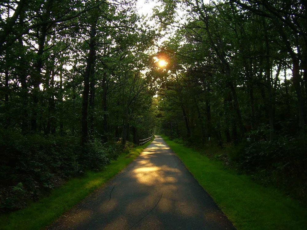 Walking Trails Cape Cod