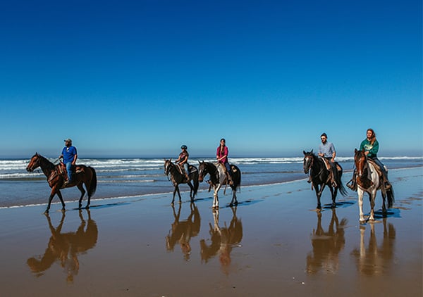 group of people horseback riding on the beach