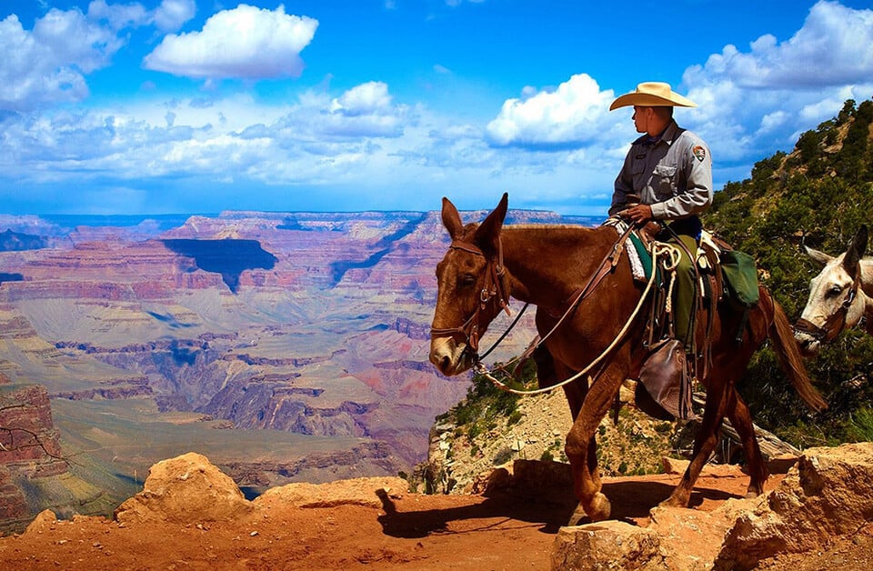 man on horse looking over the red rocks of Sedona