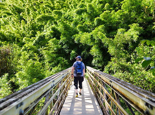 boy hiking in maui