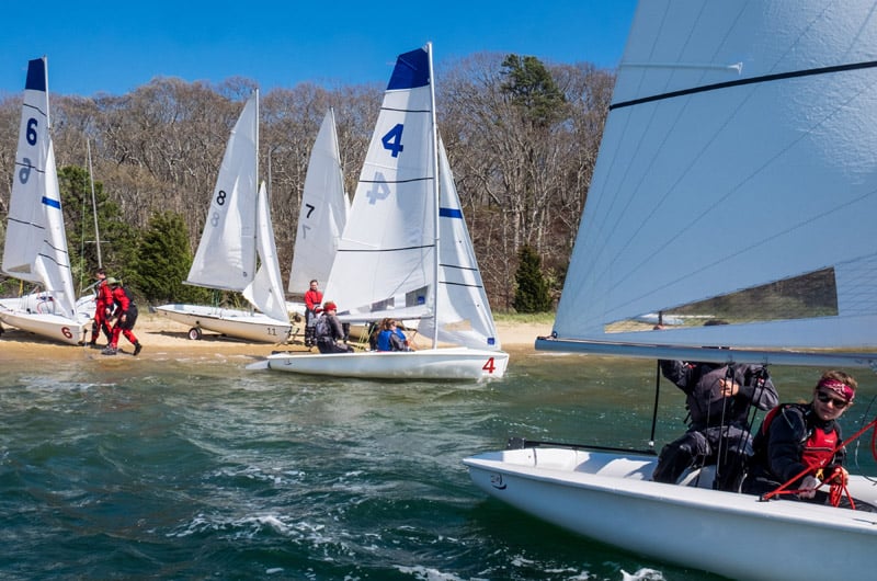 Four sailboats leaving the shore in Martha's Vineyard