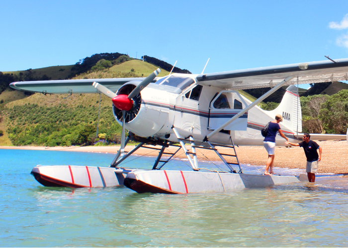 sea plane on the beach