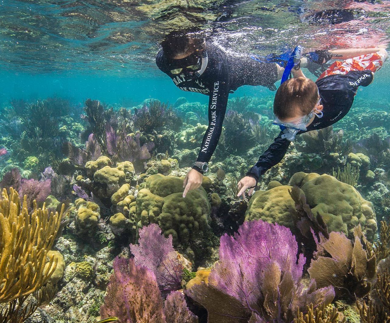 two people snorkeling in Key West looking at fish